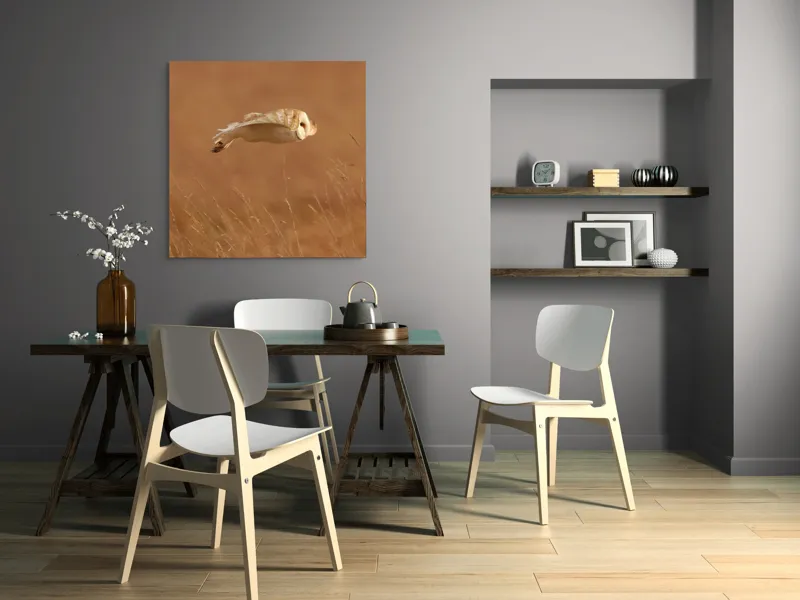 Tablou Canvas, "Bufnița în zbor de seară liniștită", Bufniță, Zbor, Câmpie, Vânătoare, Timp, Natură, Liniște, Eleganță, 100 x 100 cm – poza 6