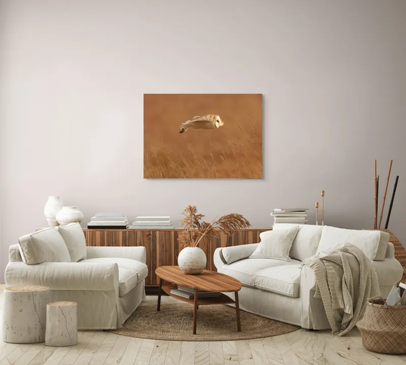 Tablou Canvas, "Bufnița în zbor de seară liniștită", Bufniță, Zbor, Câmpie, Vânătoare, Timp, Natură, Liniște, Eleganță, 100 x 70 cm – poza 3