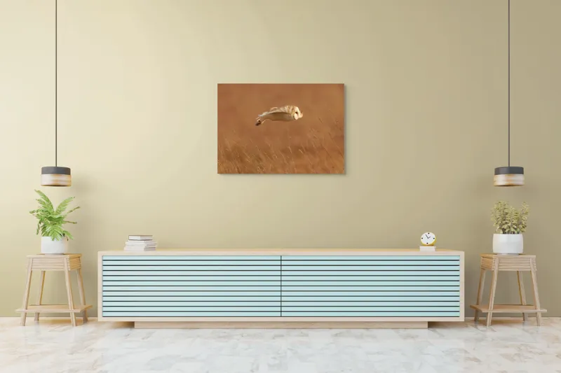 Tablou Canvas, "Bufnița în zbor de seară liniștită", Bufniță, Zbor, Câmpie, Vânătoare, Timp, Natură, Liniște, Eleganță, 100 x 70 cm – poza 4