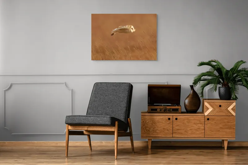 Tablou Canvas, "Bufnița în zbor de seară liniștită", Bufniță, Zbor, Câmpie, Vânătoare, Timp, Natură, Liniște, Eleganță, 100 x 70 cm – poza 8