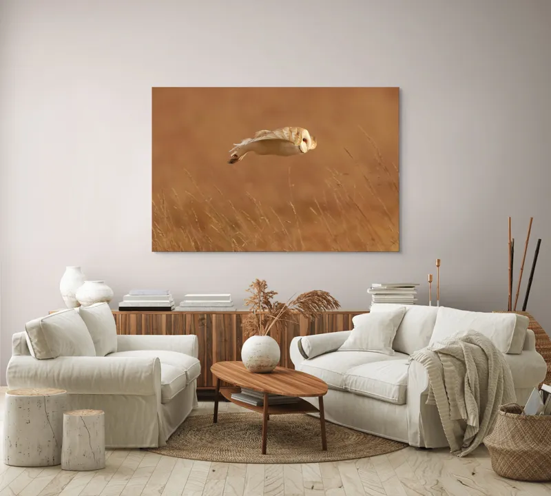 Tablou Canvas, "Bufnița în zbor de seară liniștită", Bufniță, Zbor, Câmpie, Vânătoare, Timp, Natură, Liniște, Eleganță, 150 x 100 cm – poza 3