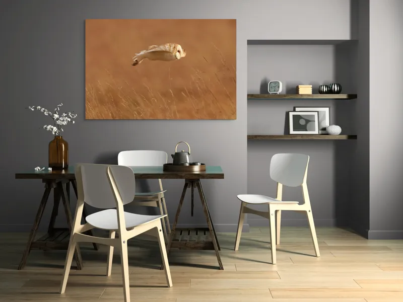 Tablou Canvas, "Bufnița în zbor de seară liniștită", Bufniță, Zbor, Câmpie, Vânătoare, Timp, Natură, Liniște, Eleganță, 150 x 100 cm – poza 5