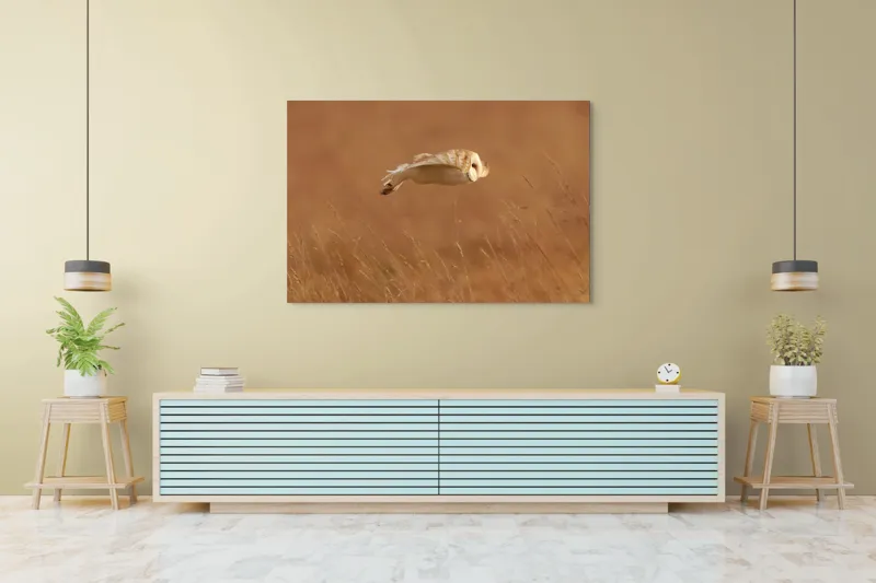 Tablou Canvas, "Bufnița în zbor de seară liniștită", Bufniță, Zbor, Câmpie, Vânătoare, Timp, Natură, Liniște, Eleganță, 150 x 100 cm – poza 6