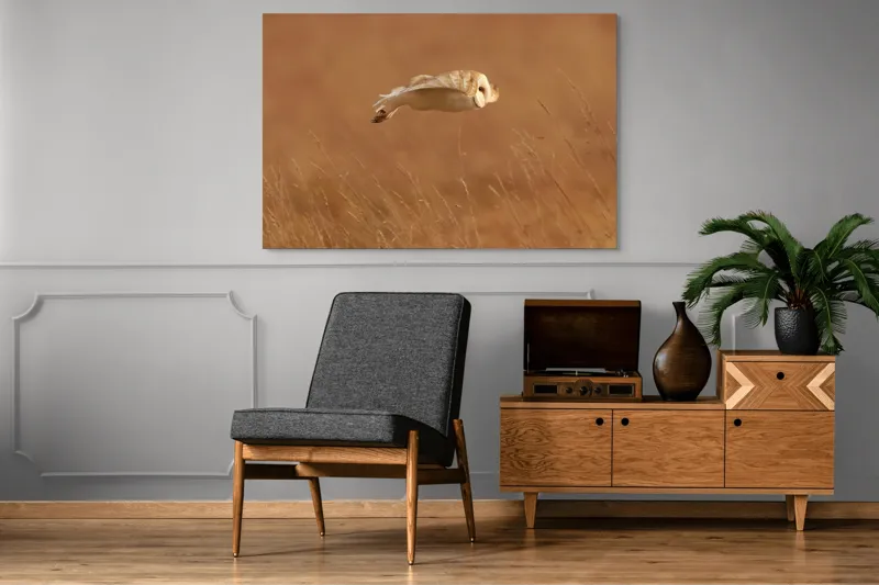 Tablou Canvas, "Bufnița în zbor de seară liniștită", Bufniță, Zbor, Câmpie, Vânătoare, Timp, Natură, Liniște, Eleganță, 150 x 100 cm – poza 8