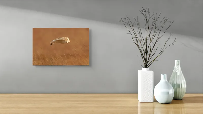 Tablou Canvas, "Bufnița în zbor de seară liniștită", Bufniță, Zbor, Câmpie, Vânătoare, Timp, Natură, Liniște, Eleganță, 39 x 26 cm – poza 8