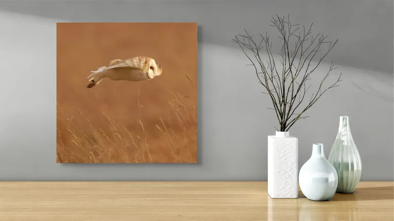 Tablou Canvas, "Bufnița în zbor de seară liniștită", Bufniță, Zbor, Câmpie, Vânătoare, Timp, Natură, Liniște, Eleganță, 50 x 50 cm – poza 3