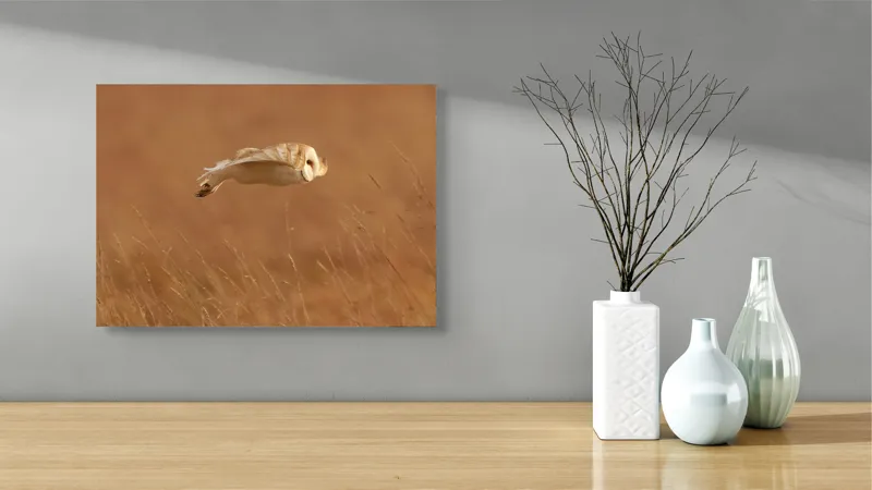 Tablou Canvas, "Bufnița în zbor de seară liniștită", Bufniță, Zbor, Câmpie, Vânătoare, Timp, Natură, Liniște, Eleganță, 54 x 39 cm – poza 3