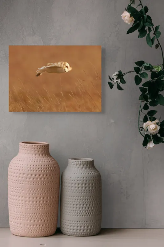 Tablou Canvas, "Bufnița în zbor de seară liniștită", Bufniță, Zbor, Câmpie, Vânătoare, Timp, Natură, Liniște, Eleganță, 54 x 39 cm – poza 8