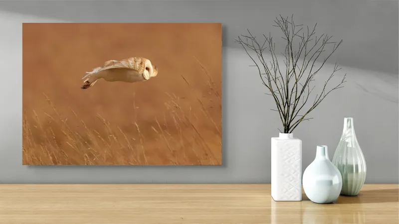 Tablou Canvas, "Bufnița în zbor de seară liniștită", Bufniță, Zbor, Câmpie, Vânătoare, Timp, Natură, Liniște, Eleganță, 70 x 50 cm – poza 3