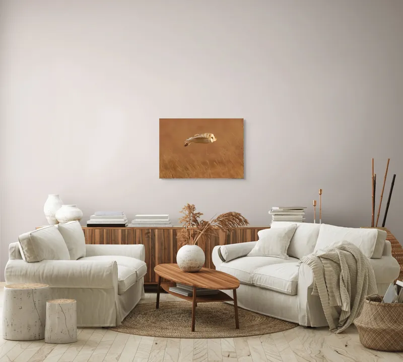 Tablou Canvas, "Bufnița în zbor de seară liniștită", Bufniță, Zbor, Câmpie, Vânătoare, Timp, Natură, Liniște, Eleganță, 70 x 50 cm – poza 6
