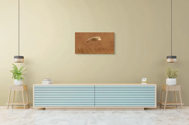 Tablou Canvas, "Bufnița în zbor de seară liniștită", Bufniță, Zbor, Câmpie, Vânătoare, Timp, Natură, Liniște, Eleganță, 90 x 50 cm – poza 5