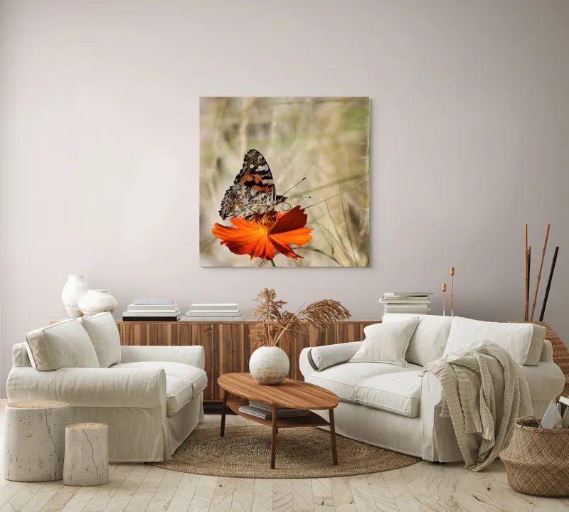 Tablou Canvas, "Fluture delicat pe floare portocalie", Fluture, Petale, Portocaliu, Fragil, Aripi, Natură, Frumusețe, Delicat, Lumină, Eleganță, 100 x 100 cm – poza 3