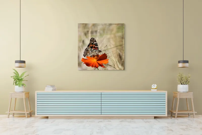 Tablou Canvas, "Fluture delicat pe floare portocalie", Fluture, Petale, Portocaliu, Fragil, Aripi, Natură, Frumusețe, Delicat, Lumină, Eleganță, 100 x 100 cm – poza 5