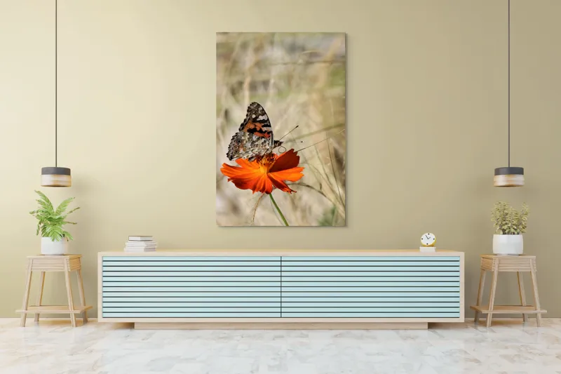 Tablou Canvas, "Fluture delicat pe floare portocalie", Fluture, Petale, Portocaliu, Fragil, Aripi, Natură, Frumusețe, Delicat, Lumină, Eleganță, 100 x 150 cm – poza 4