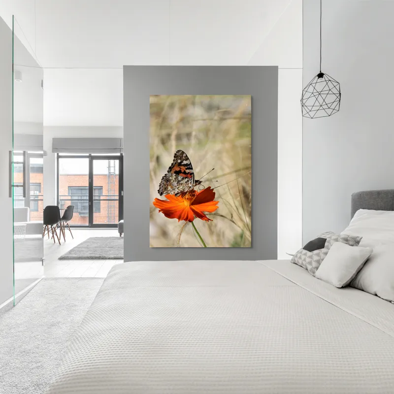 Tablou Canvas, "Fluture delicat pe floare portocalie", Fluture, Petale, Portocaliu, Fragil, Aripi, Natură, Frumusețe, Delicat, Lumină, Eleganță, 100 x 150 cm – poza 5