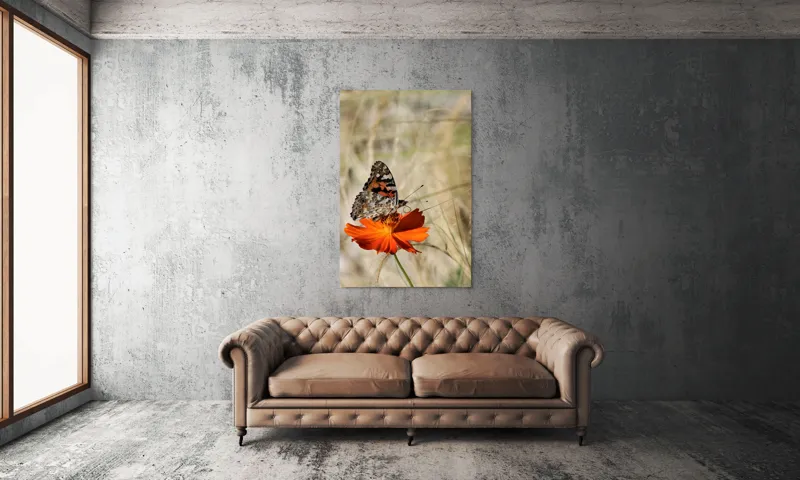 Tablou Canvas, "Fluture delicat pe floare portocalie", Fluture, Petale, Portocaliu, Fragil, Aripi, Natură, Frumusețe, Delicat, Lumină, Eleganță, 100 x 150 cm – poza 6