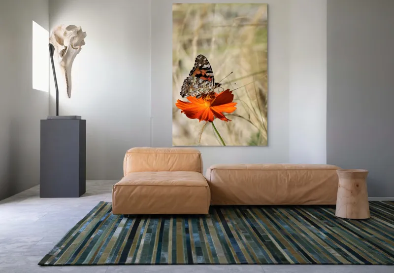 Tablou Canvas, "Fluture delicat pe floare portocalie", Fluture, Petale, Portocaliu, Fragil, Aripi, Natură, Frumusețe, Delicat, Lumină, Eleganță, 100 x 150 cm – poza 7
