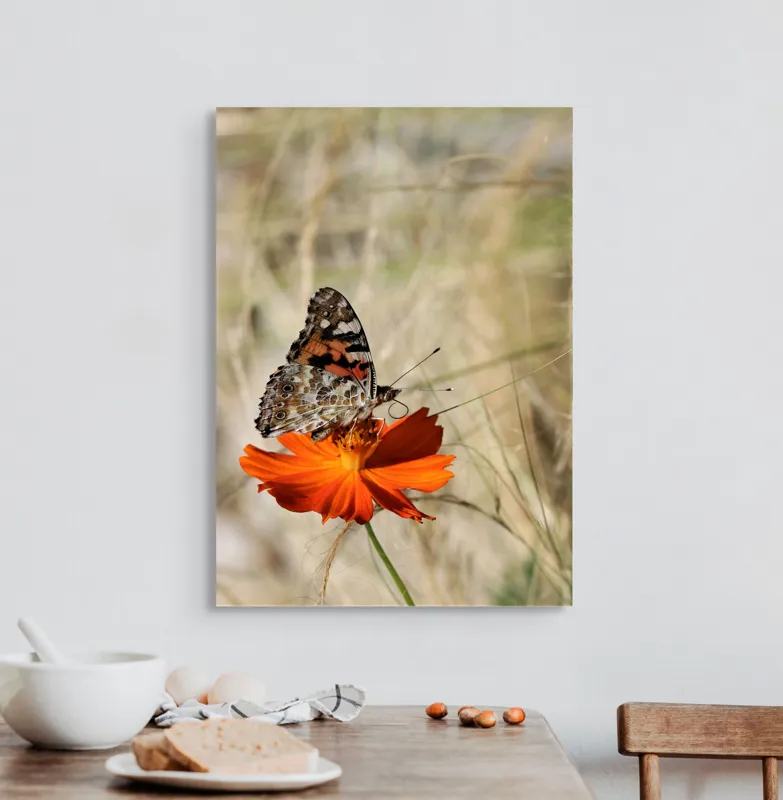 Tablou Canvas, "Fluture delicat pe floare portocalie", Fluture, Petale, Portocaliu, Fragil, Aripi, Natură, Frumusețe, Delicat, Lumină, Eleganță, 50 x 70 cm – poza 3