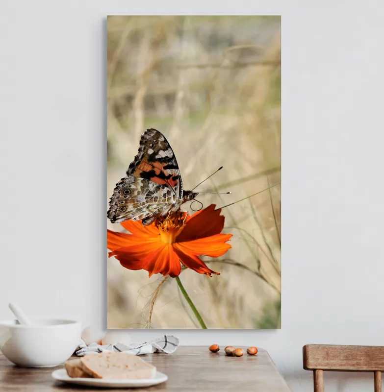 Tablou Canvas, "Fluture delicat pe floare portocalie", Fluture, Petale, Portocaliu, Fragil, Aripi, Natură, Frumusețe, Delicat, Lumină, Eleganță, 50 x 90 cm – poza 3