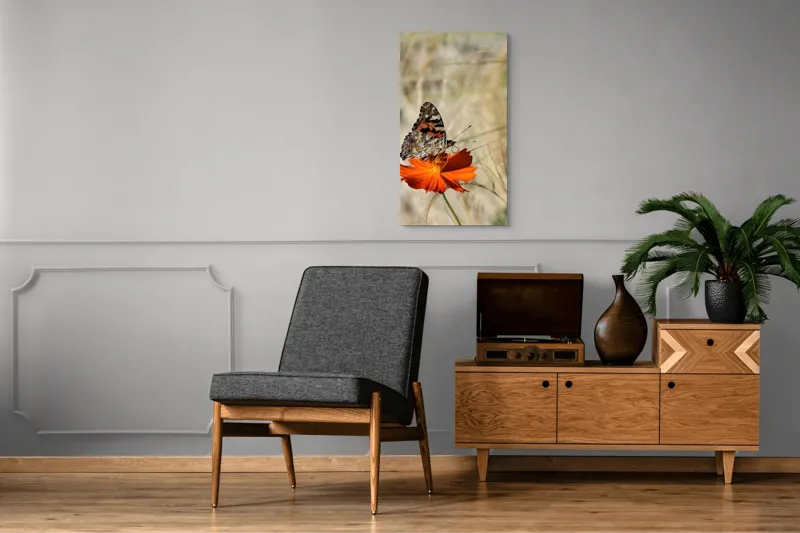 Tablou Canvas, "Fluture delicat pe floare portocalie", Fluture, Petale, Portocaliu, Fragil, Aripi, Natură, Frumusețe, Delicat, Lumină, Eleganță, 50 x 90 cm – poza 8