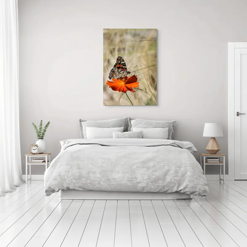 Tablou Canvas, "Fluture delicat pe floare portocalie", Fluture, Petale, Portocaliu, Fragil, Aripi, Natură, Frumusețe, Delicat, Lumină, Eleganță, 70 x 100 cm – poza 3