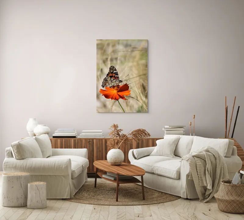 Tablou Canvas, "Fluture delicat pe floare portocalie", Fluture, Petale, Portocaliu, Fragil, Aripi, Natură, Frumusețe, Delicat, Lumină, Eleganță, 70 x 100 cm – poza 4