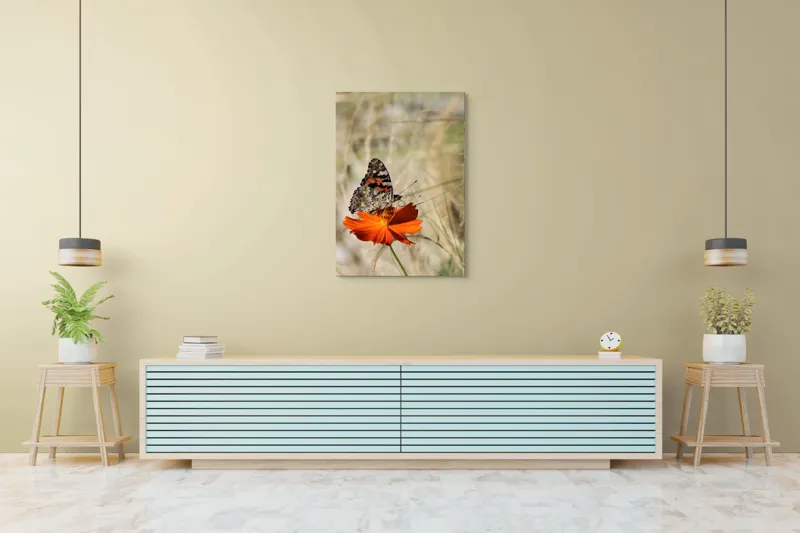 Tablou Canvas, "Fluture delicat pe floare portocalie", Fluture, Petale, Portocaliu, Fragil, Aripi, Natură, Frumusețe, Delicat, Lumină, Eleganță, 70 x 100 cm – poza 5