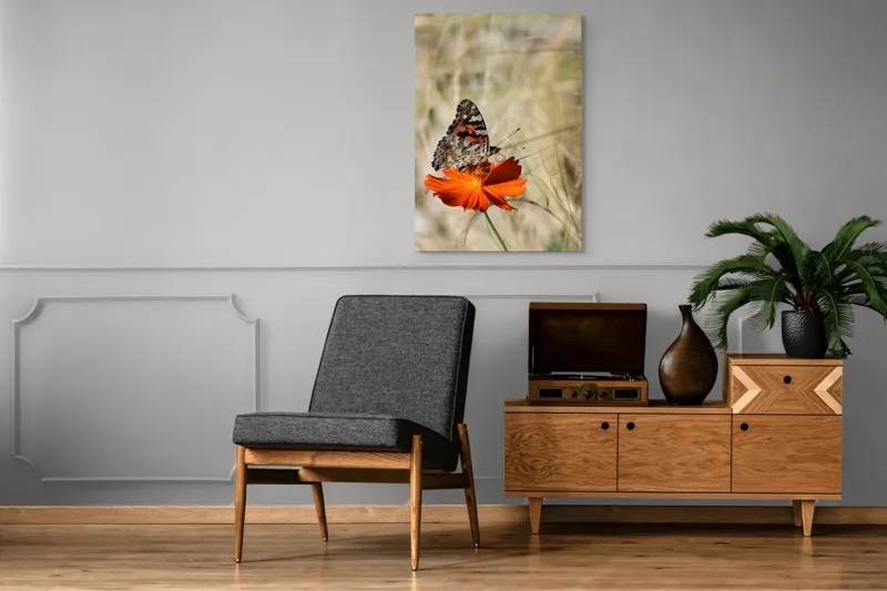 Tablou Canvas, "Fluture delicat pe floare portocalie", Fluture, Petale, Portocaliu, Fragil, Aripi, Natură, Frumusețe, Delicat, Lumină, Eleganță, 70 x 100 cm – poza 6