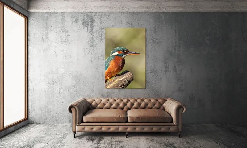 Tablou Canvas, "Pescarus albastru pe ramura toamnei", Pasăre, Albastră, Portocalie, Cioc Ascuțit, Pe Ramură, Plină De Viață, Natură, Frumusețe, Penaj Lucios, 100 x 150 cm – poza 6