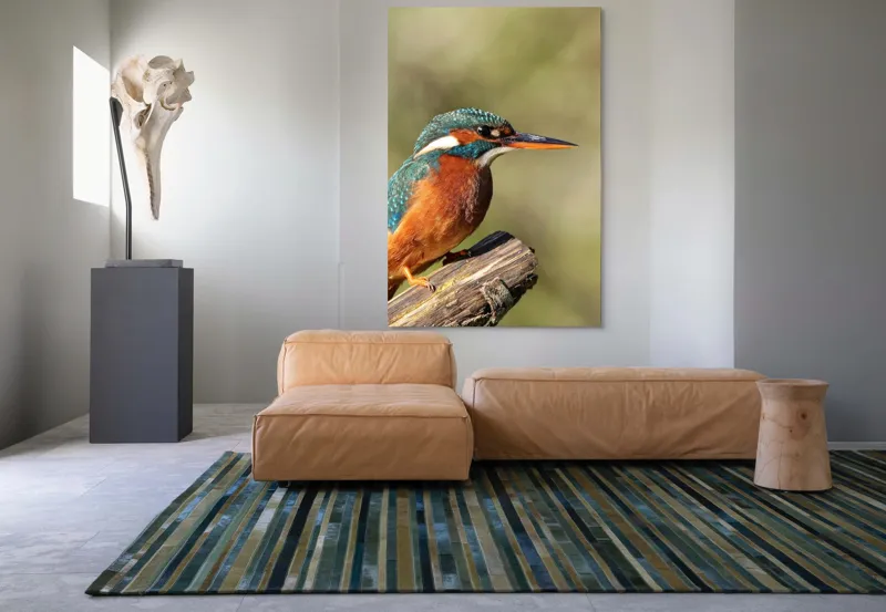 Tablou Canvas, "Pescarus albastru pe ramura toamnei", Pasăre, Albastră, Portocalie, Cioc Ascuțit, Pe Ramură, Plină De Viață, Natură, Frumusețe, Penaj Lucios, 100 x 150 cm – poza 7