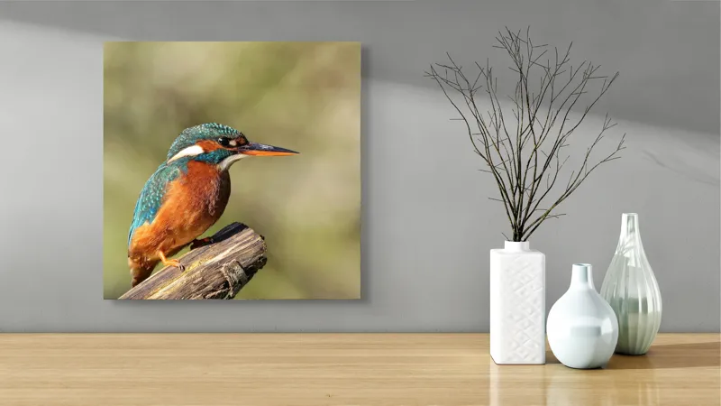 Tablou Canvas, "Pescarus albastru pe ramura toamnei", Pasăre, Albastră, Portocalie, Cioc Ascuțit, Pe Ramură, Plină De Viață, Natură, Frumusețe, Penaj Lucios, 50 x 50 cm – poza 3