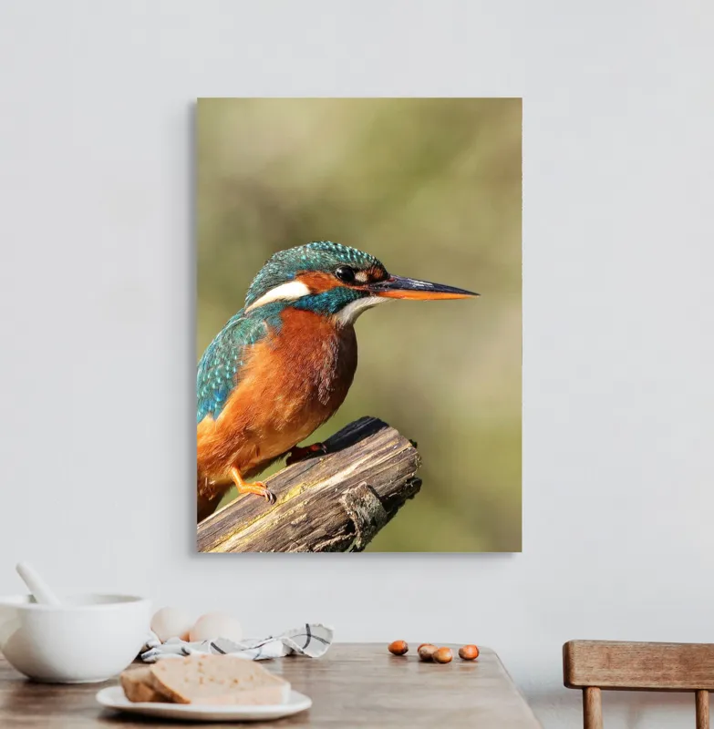 Tablou Canvas, "Pescarus albastru pe ramura toamnei", Pasăre, Albastră, Portocalie, Cioc Ascuțit, Pe Ramură, Plină De Viață, Natură, Frumusețe, Penaj Lucios, 50 x 70 cm – poza 3