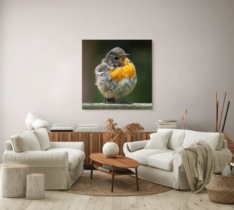 Tablou Canvas, "Puiul de pasăre cu pene zburlite", Pufos, Portocaliu, Fragil, Gingaș, Cald, Curios, Atent, 100 x 100 cm – poza 3