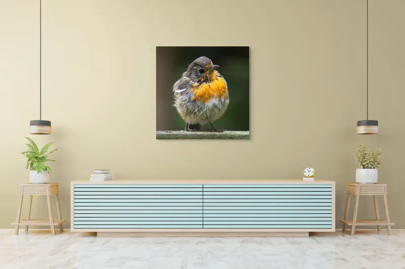 Tablou Canvas, "Puiul de pasăre cu pene zburlite", Pufos, Portocaliu, Fragil, Gingaș, Cald, Curios, Atent, 100 x 100 cm – poza 5