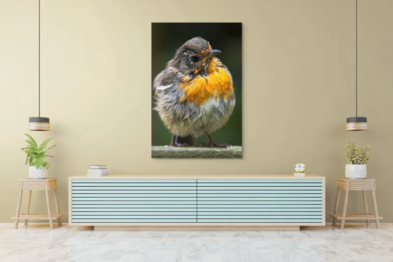 Tablou Canvas, "Puiul de pasăre cu pene zburlite", Pufos, Portocaliu, Fragil, Gingaș, Cald, Curios, Atent, 100 x 150 cm – poza 4
