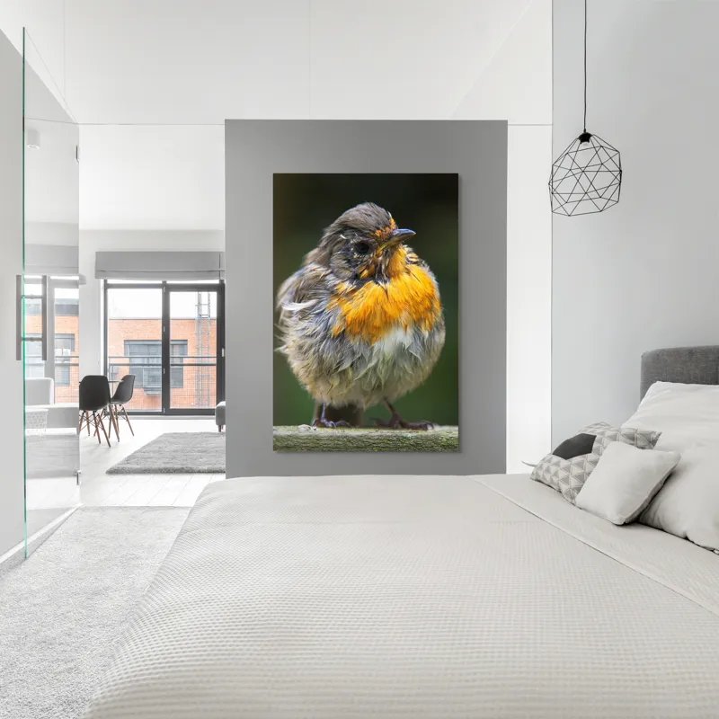 Tablou Canvas, "Puiul de pasăre cu pene zburlite", Pufos, Portocaliu, Fragil, Gingaș, Cald, Curios, Atent, 100 x 150 cm – poza 5