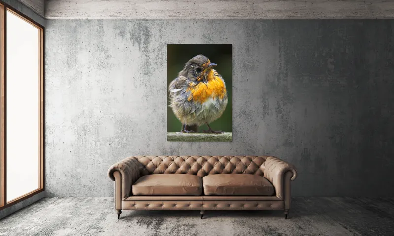 Tablou Canvas, "Puiul de pasăre cu pene zburlite", Pufos, Portocaliu, Fragil, Gingaș, Cald, Curios, Atent, 100 x 150 cm – poza 6