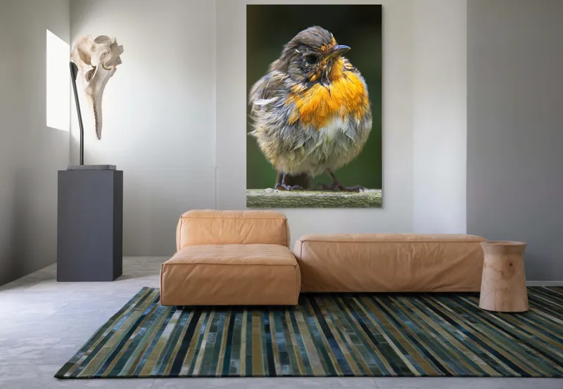 Tablou Canvas, "Puiul de pasăre cu pene zburlite", Pufos, Portocaliu, Fragil, Gingaș, Cald, Curios, Atent, 100 x 150 cm – poza 7