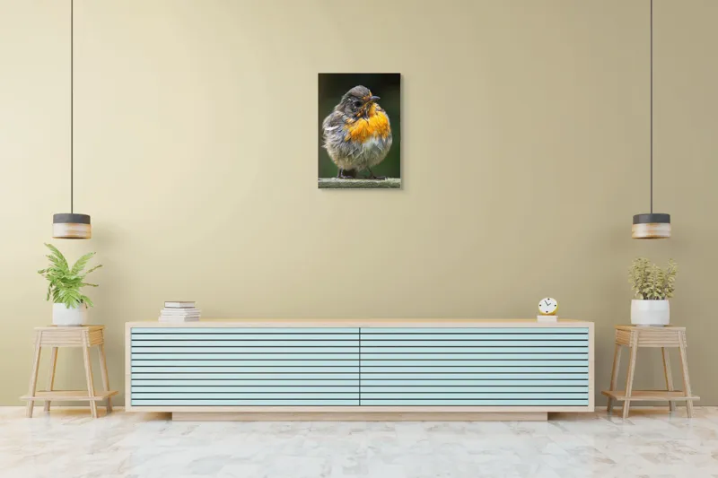 Tablou Canvas, "Puiul de pasăre cu pene zburlite", Pufos, Portocaliu, Fragil, Gingaș, Cald, Curios, Atent, 50 x 70 cm – poza 6