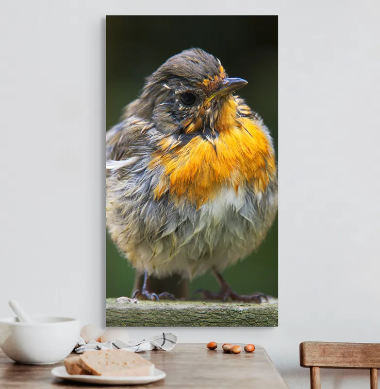 Tablou Canvas, "Puiul de pasăre cu pene zburlite", Pufos, Portocaliu, Fragil, Gingaș, Cald, Curios, Atent, 50 x 90 cm – poza 3