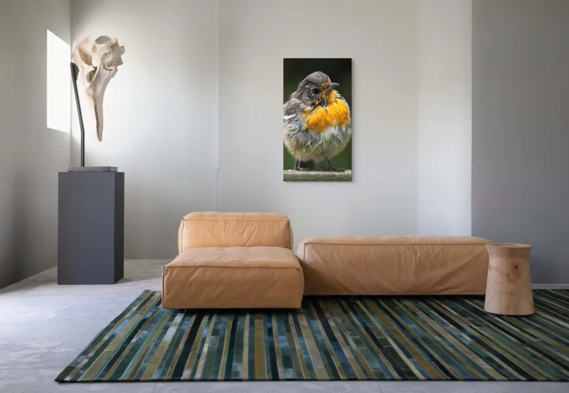 Tablou Canvas, "Puiul de pasăre cu pene zburlite", Pufos, Portocaliu, Fragil, Gingaș, Cald, Curios, Atent, 50 x 90 cm – poza 5