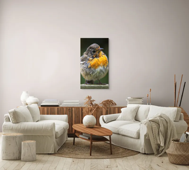 Tablou Canvas, "Puiul de pasăre cu pene zburlite", Pufos, Portocaliu, Fragil, Gingaș, Cald, Curios, Atent, 50 x 90 cm – poza 7
