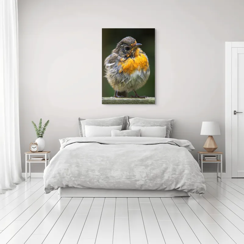 Tablou Canvas, "Puiul de pasăre cu pene zburlite", Pufos, Portocaliu, Fragil, Gingaș, Cald, Curios, Atent, 70 x 100 cm – poza 3