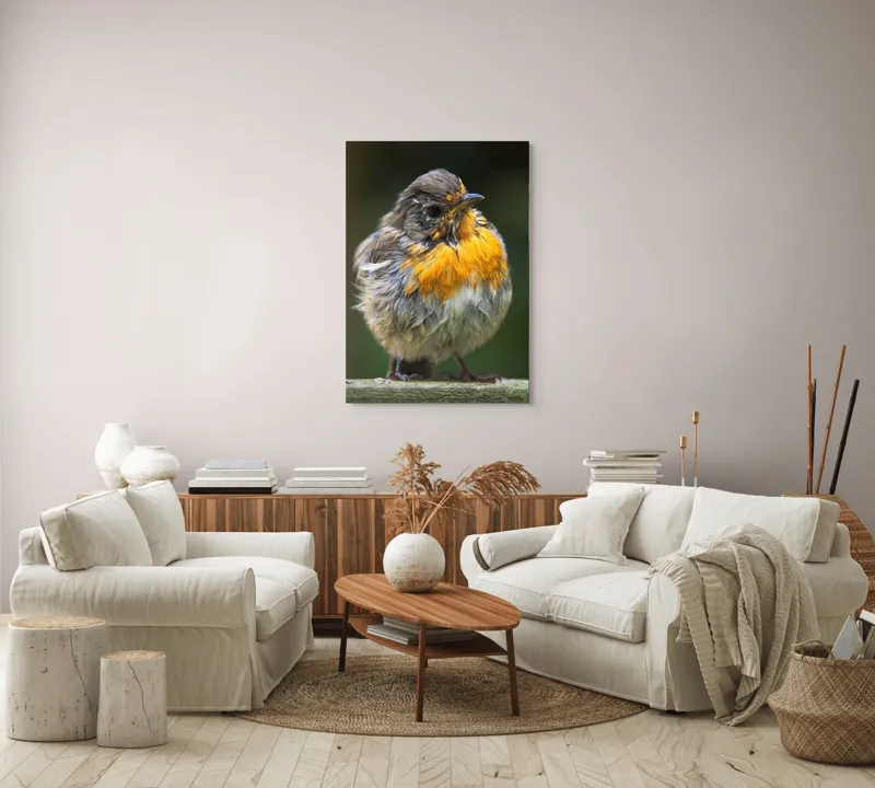 Tablou Canvas, "Puiul de pasăre cu pene zburlite", Pufos, Portocaliu, Fragil, Gingaș, Cald, Curios, Atent, 70 x 100 cm – poza 4