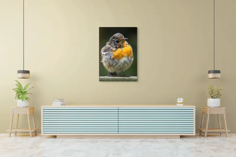 Tablou Canvas, "Puiul de pasăre cu pene zburlite", Pufos, Portocaliu, Fragil, Gingaș, Cald, Curios, Atent, 70 x 100 cm – poza 5