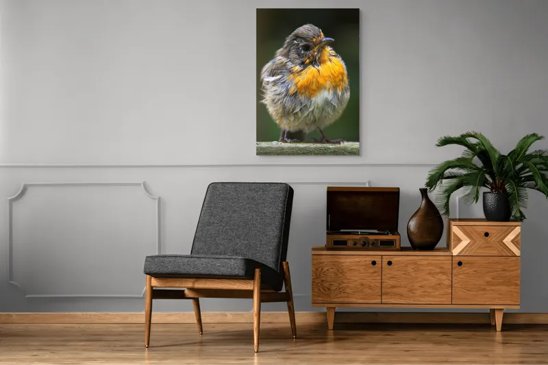 Tablou Canvas, "Puiul de pasăre cu pene zburlite", Pufos, Portocaliu, Fragil, Gingaș, Cald, Curios, Atent, 70 x 100 cm – poza 6