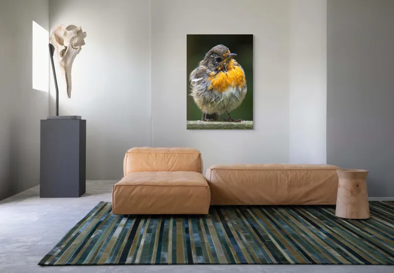 Tablou Canvas, "Puiul de pasăre cu pene zburlite", Pufos, Portocaliu, Fragil, Gingaș, Cald, Curios, Atent, 70 x 100 cm – poza 7