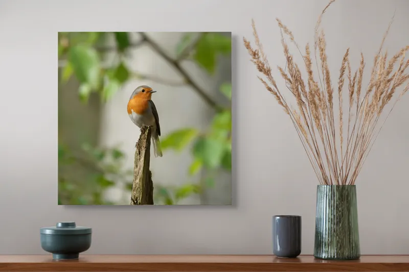 Tablou Canvas, "Pițigoiul în așteptarea primăverii", Păsărică, Ramură, Plante, Verde, Penaj, Delicatețe, Frumusețe, Natural, Calm, Echilibru, 50 x 50 cm – poza 4