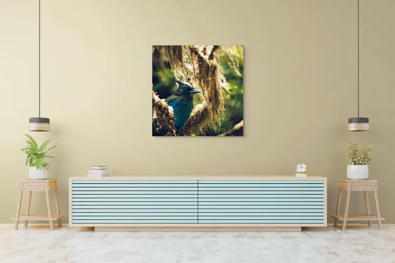 Tablou Canvas, "Pasărea enigmatică în pădurea de mușchi.", Păsăre, Pene, Albastru, Copac, Mușchi, Natură, Lumină, Umbre, Habitat, Frunziș, 100 x 100 cm – poza 5