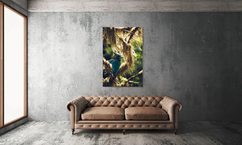 Tablou Canvas, "Pasărea enigmatică în pădurea de mușchi.", Păsăre, Pene, Albastru, Copac, Mușchi, Natură, Lumină, Umbre, Habitat, Frunziș, 100 x 150 cm – poza 6
